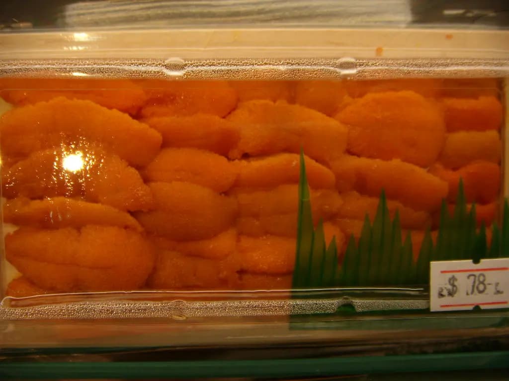 櫻羽居 photo 6