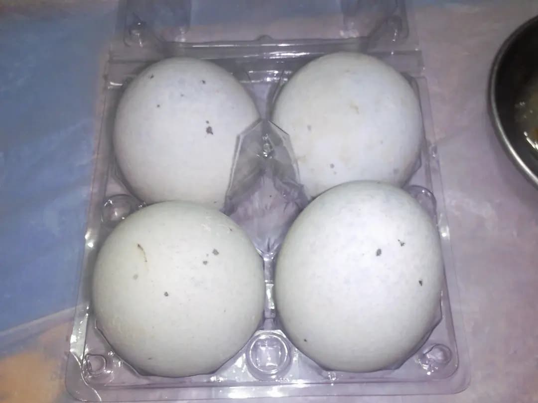 順興行 photo 8