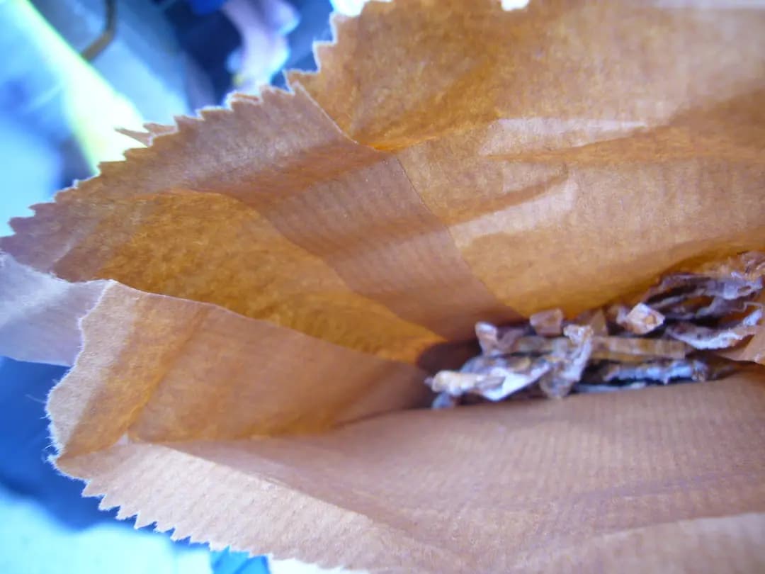 魷魚 photo 5