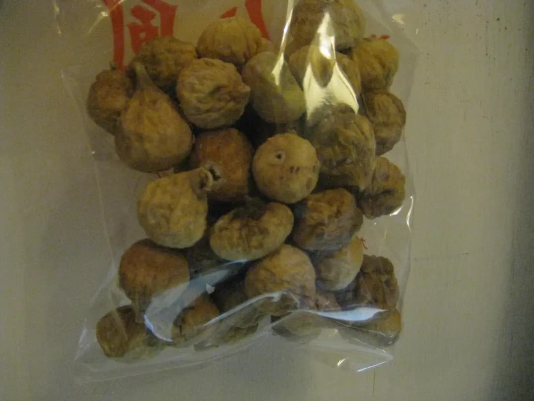 龍城公鳳 photo 7
