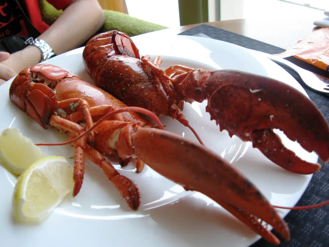 Cucina photo 1