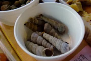 勤記潮州食家 photo 2