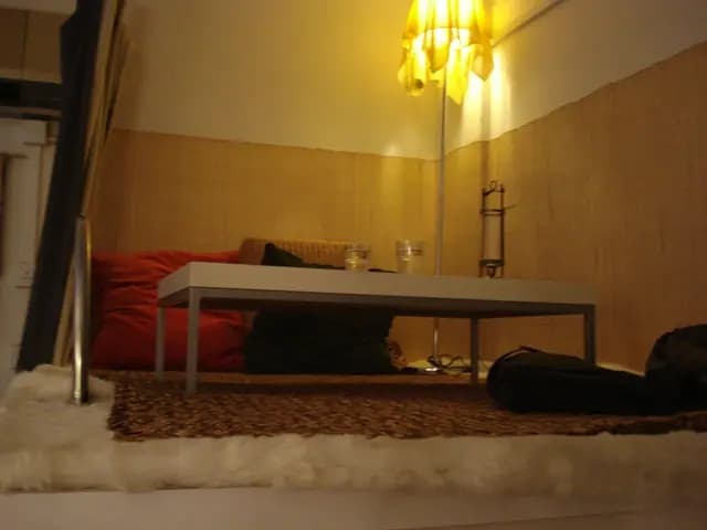 素苗 photo 3