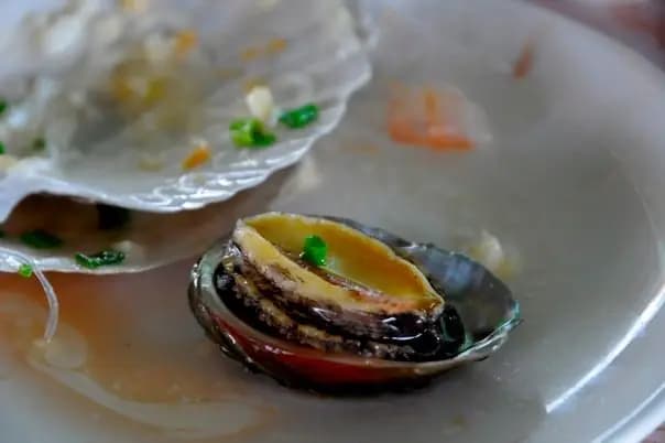 東龍島釣大魚 魚排海鮮餐 photo 4