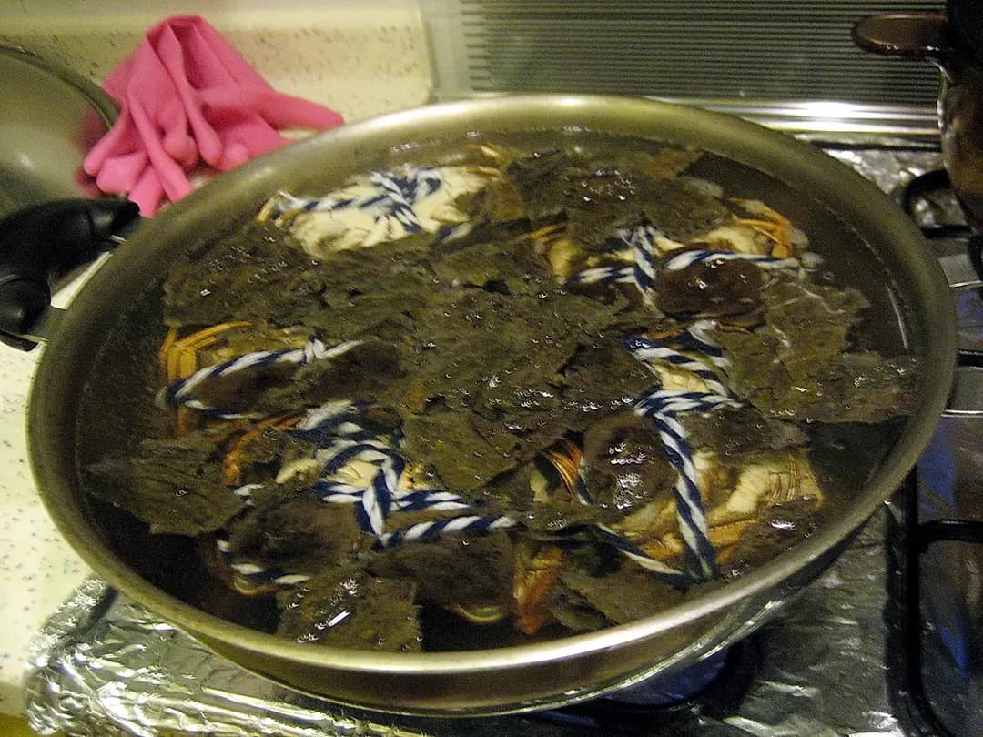 老三陽 photo 3