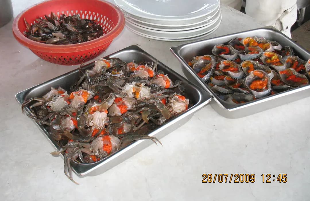 東龍島釣大魚 魚排海鮮餐 photo 6