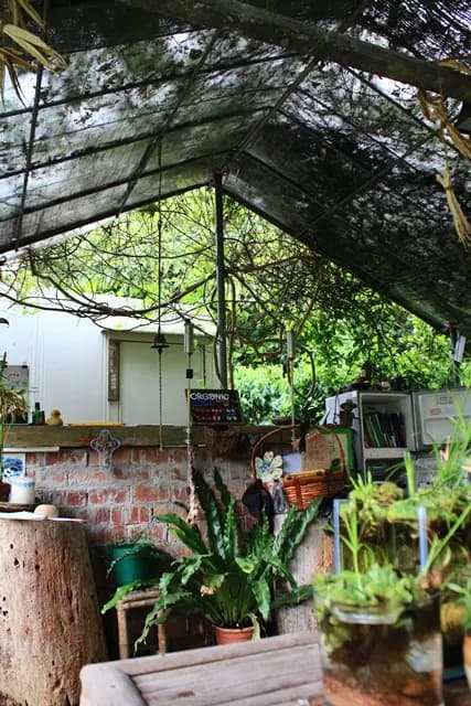 香草原 photo 8