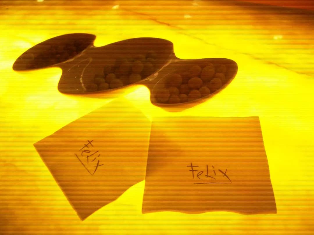 Felix photo 8