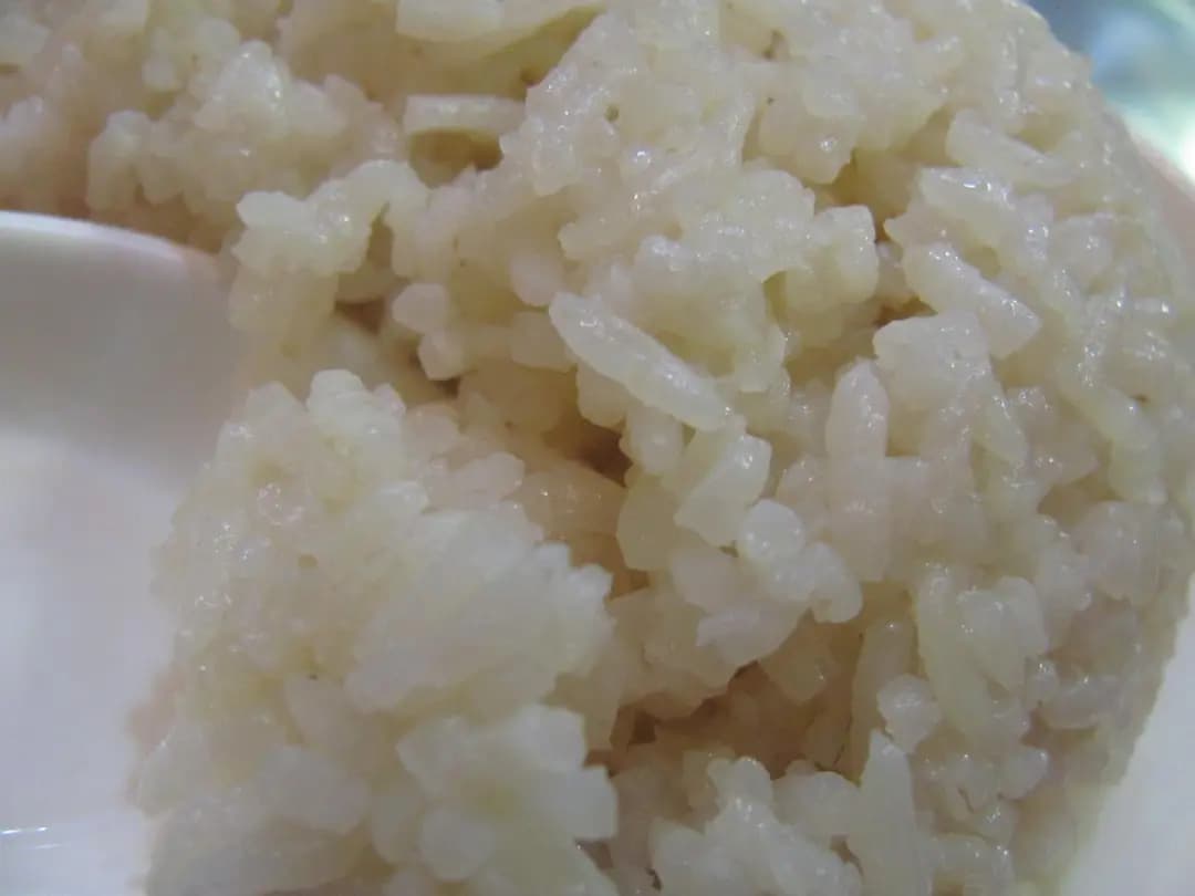 文華雞飯 photo 1