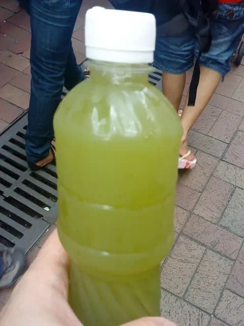 草津堂 photo 4