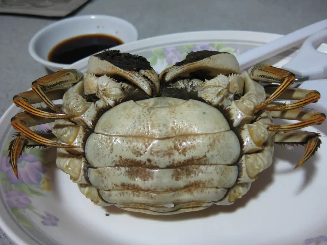 勝記大閘蟹專門店 photo 6