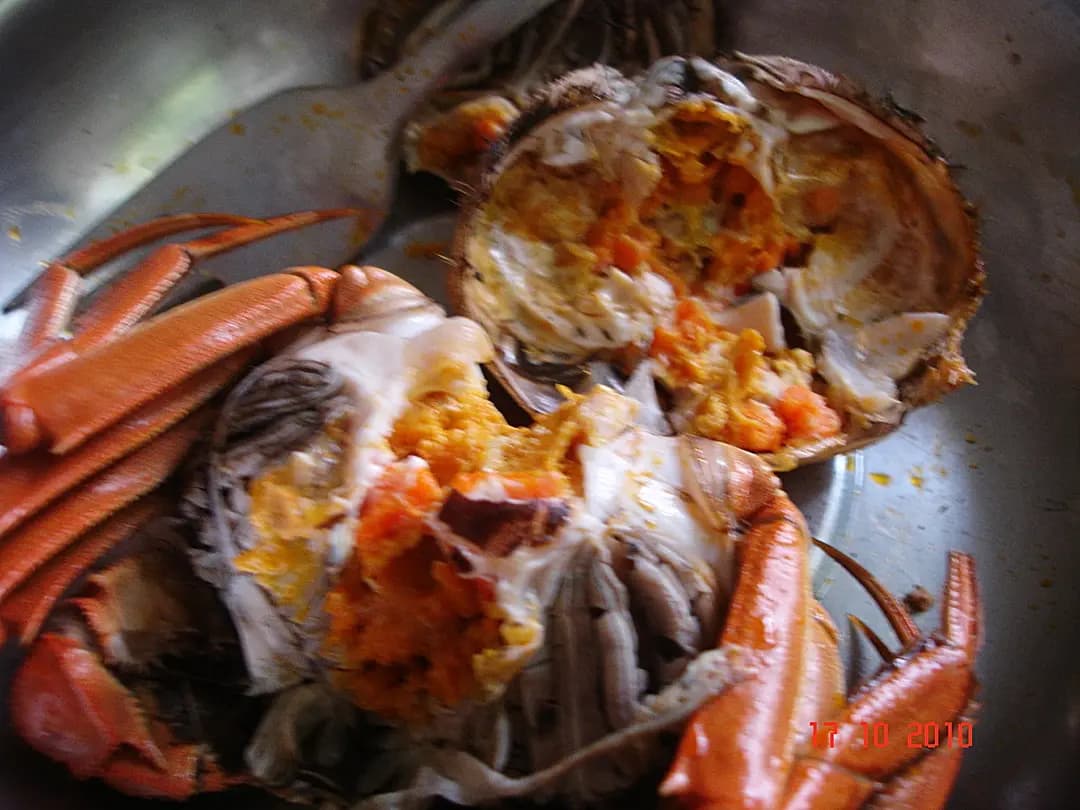 老三陽 photo 4
