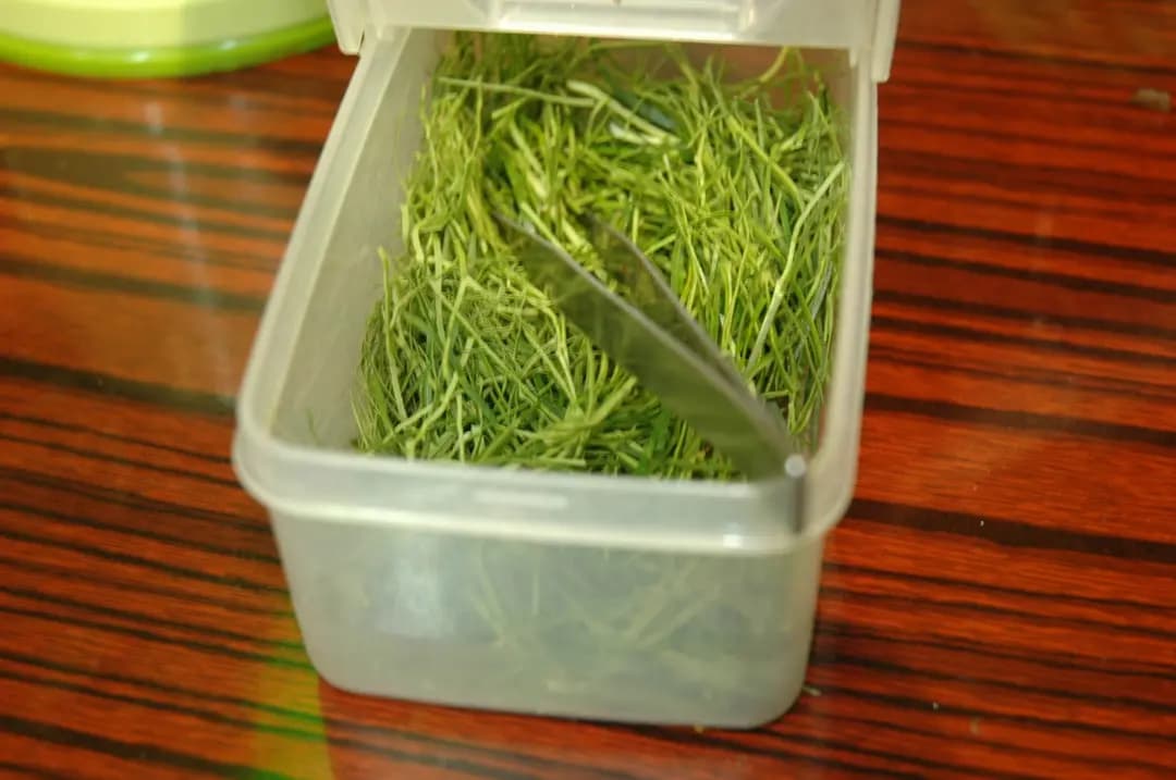 蛇王濤蛇店 photo 7