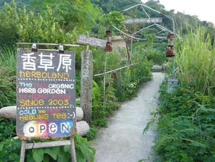 香草原 photo 7