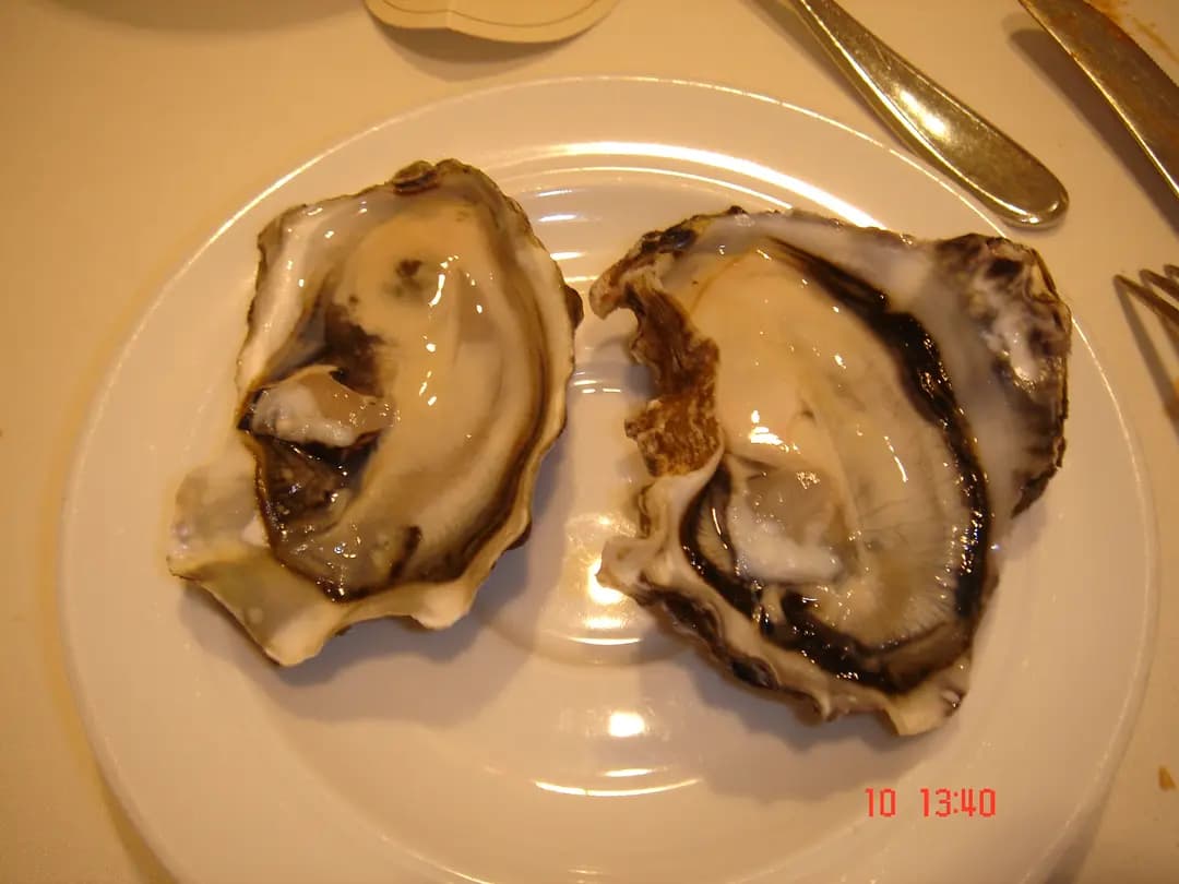 馬哥孛羅咖啡廳 photo 6