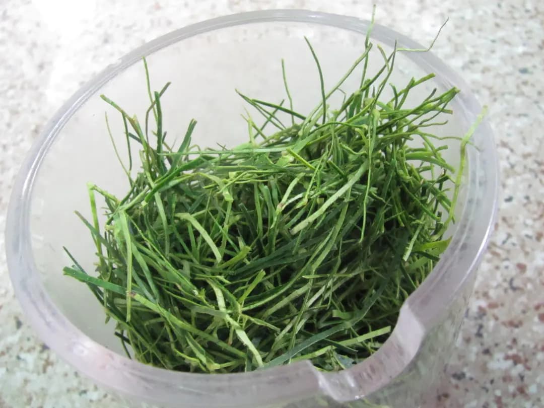 蛇王如 photo 2