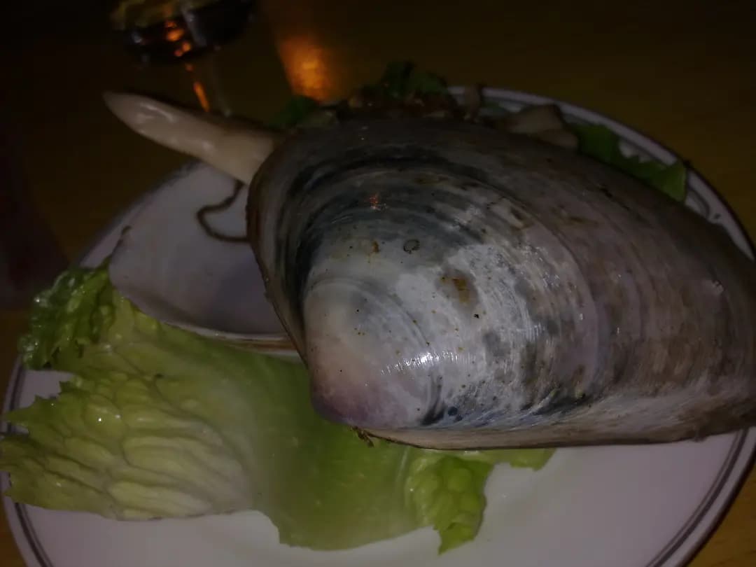 泰開心泰越精品餐廳 photo 4