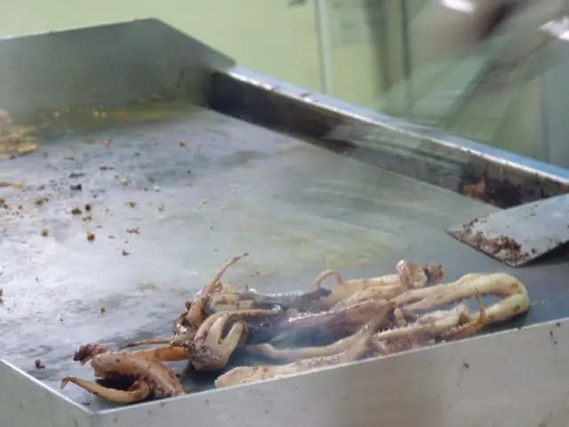 飛船魷魚 photo 1