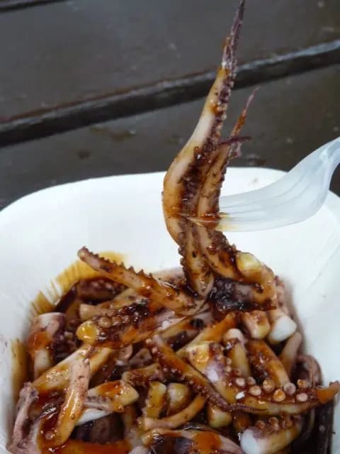 飛船魷魚 photo 3