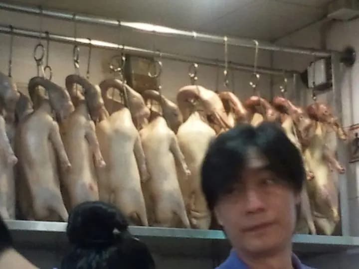 九龍燒味扒皇茶餐廳 photo 4