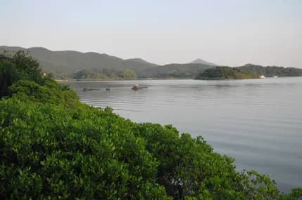 百合園林海景燒烤場 photo 3