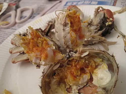 成隆行 photo 8