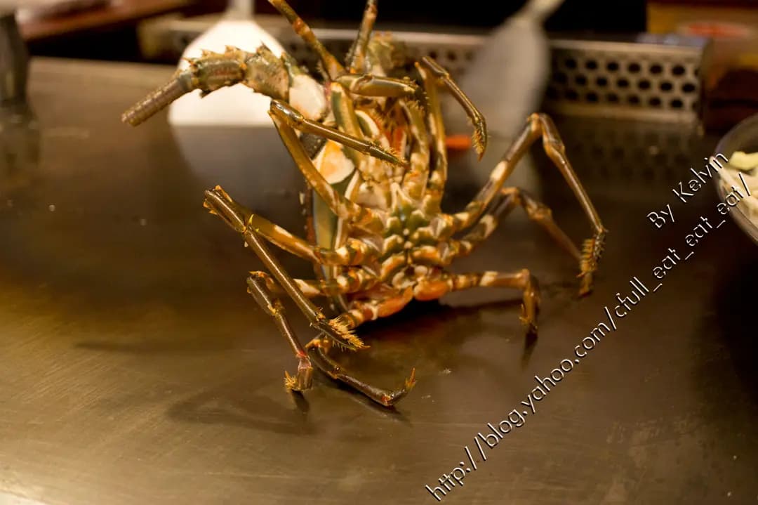 鐵板超純和風日本料理 photo 5