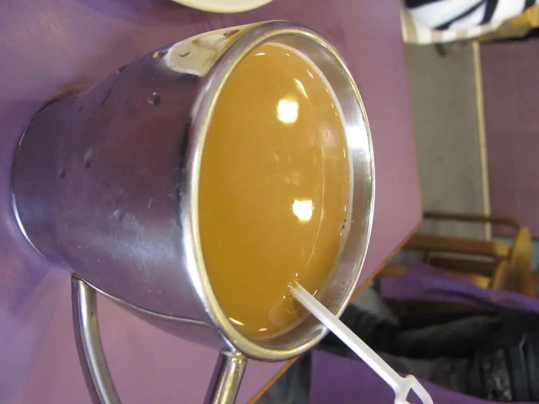 金禾茶餐廳 photo 4