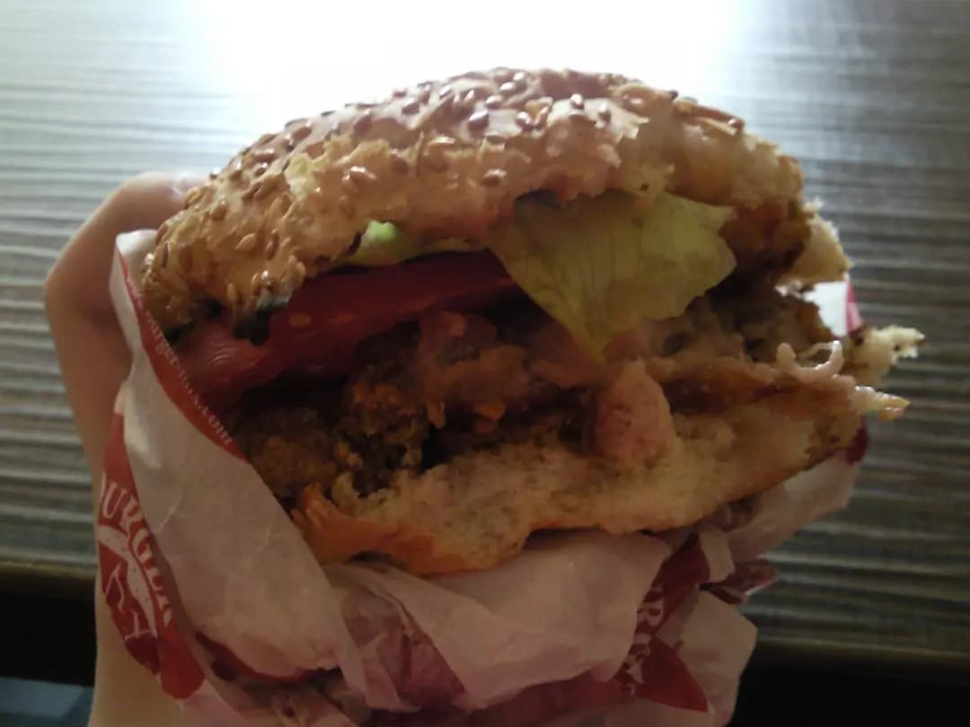 Burger Mix photo 7