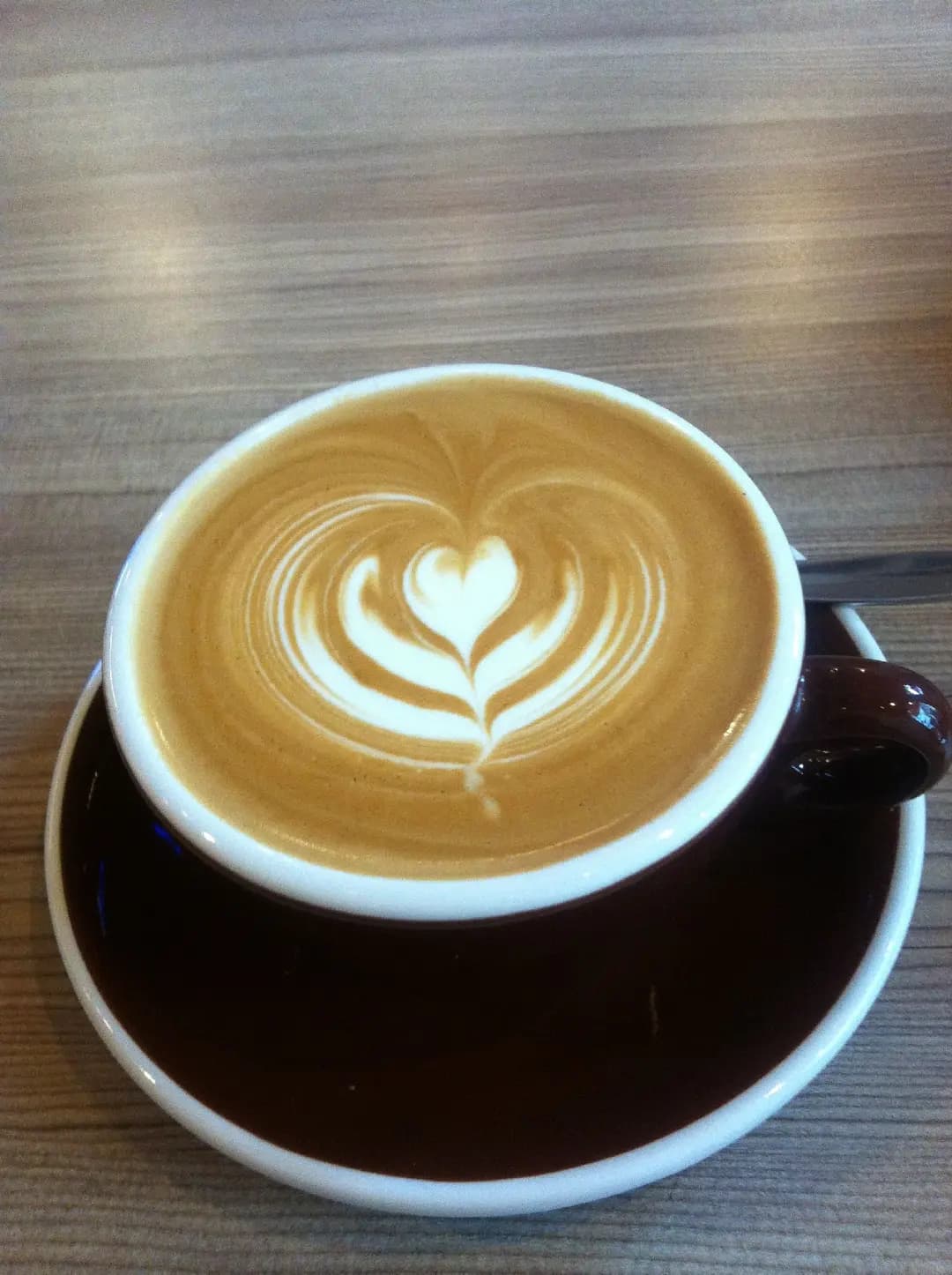 CoCo Espresso photo 7
