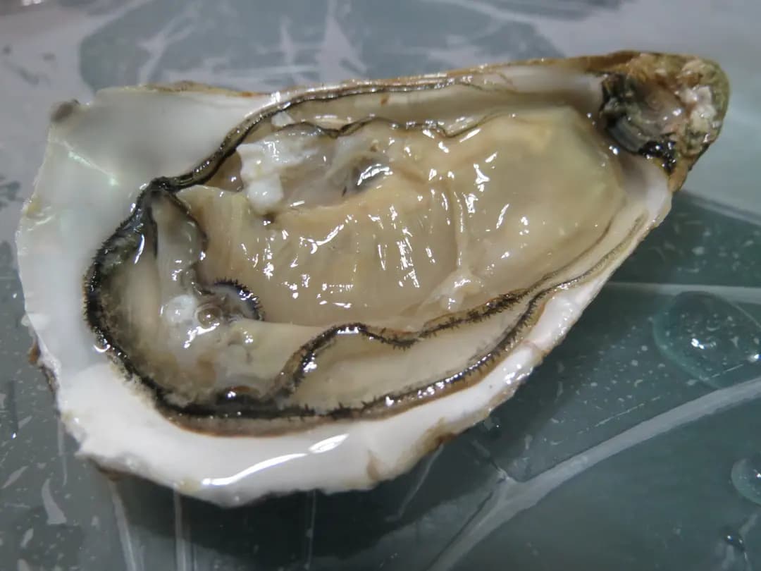 直購街 photo 3