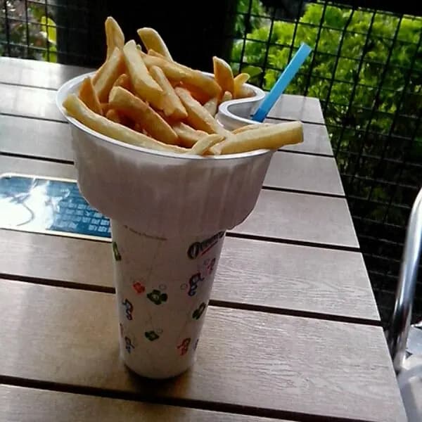 鸚鵡推介 photo 1