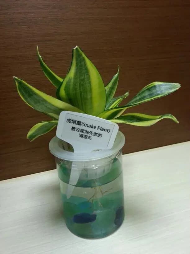 南記粉麵 photo 7