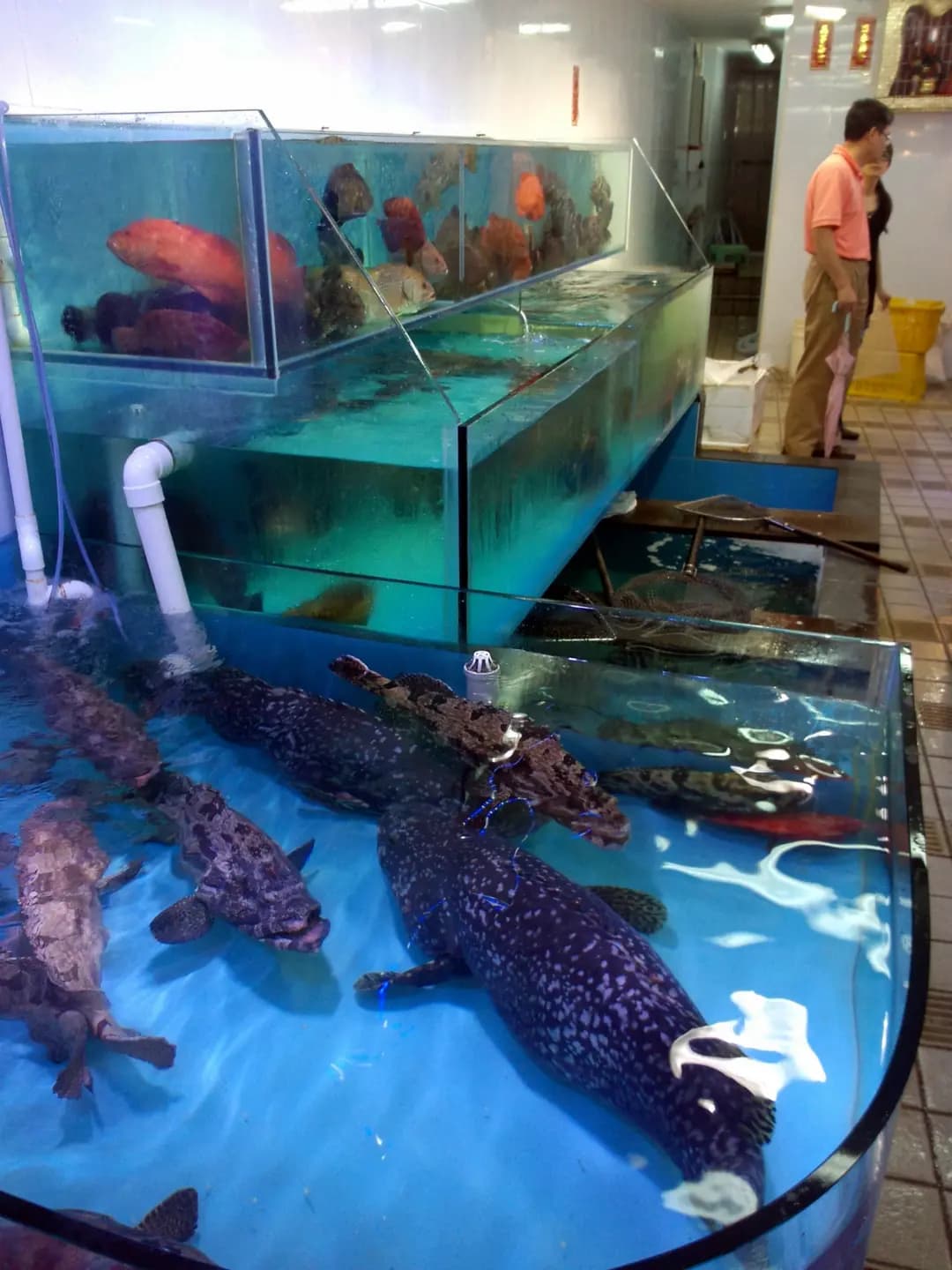 許照記海鮮 photo 1