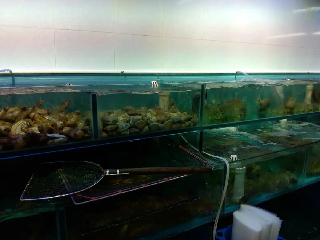 許照記海鮮 photo 3