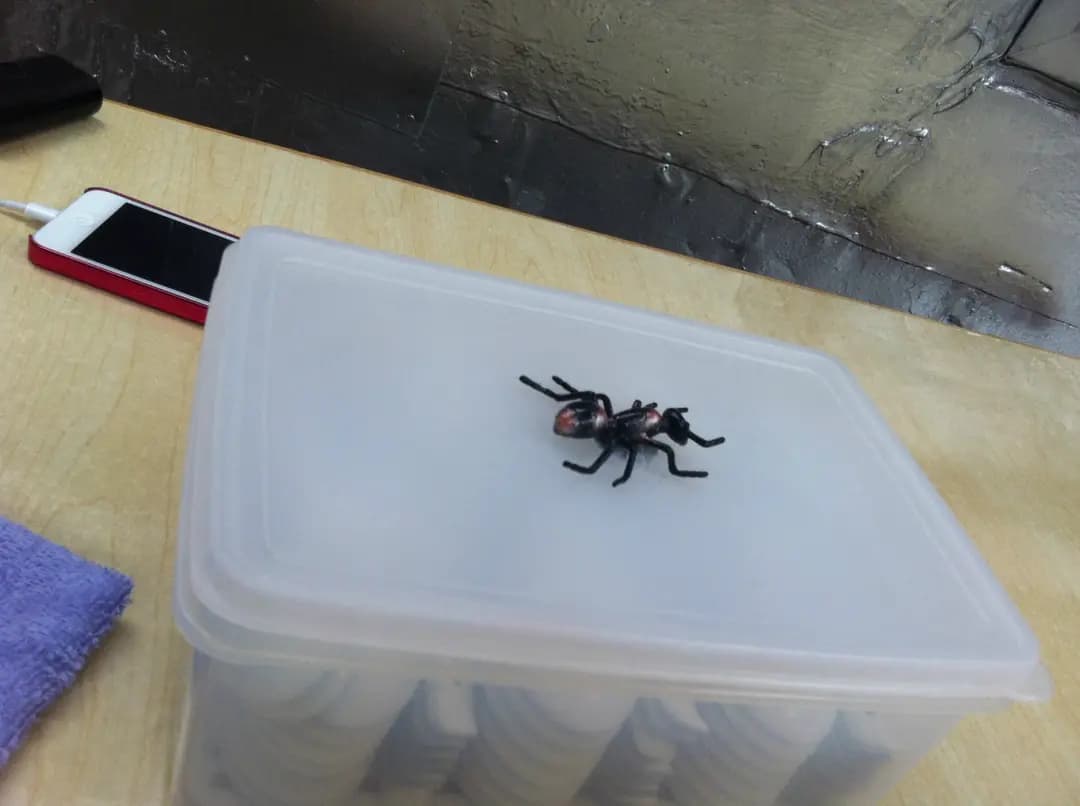 半路棚豆腐花 photo 4