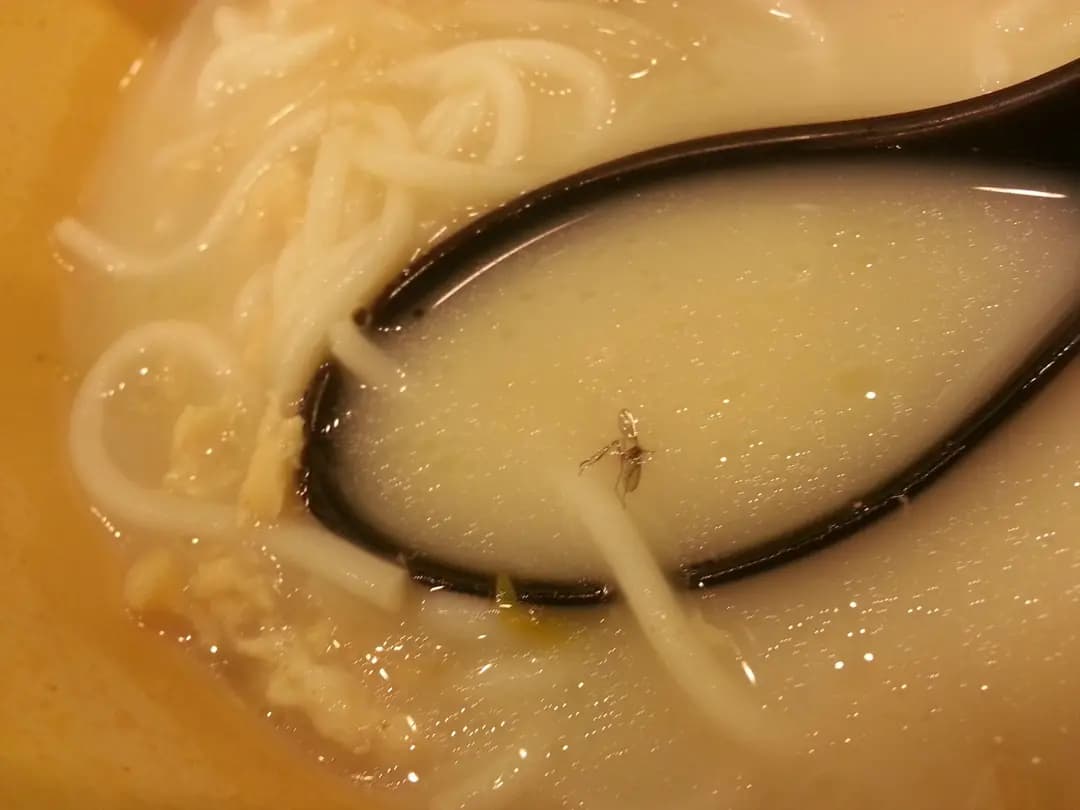 譚仔雲南米線 photo 5