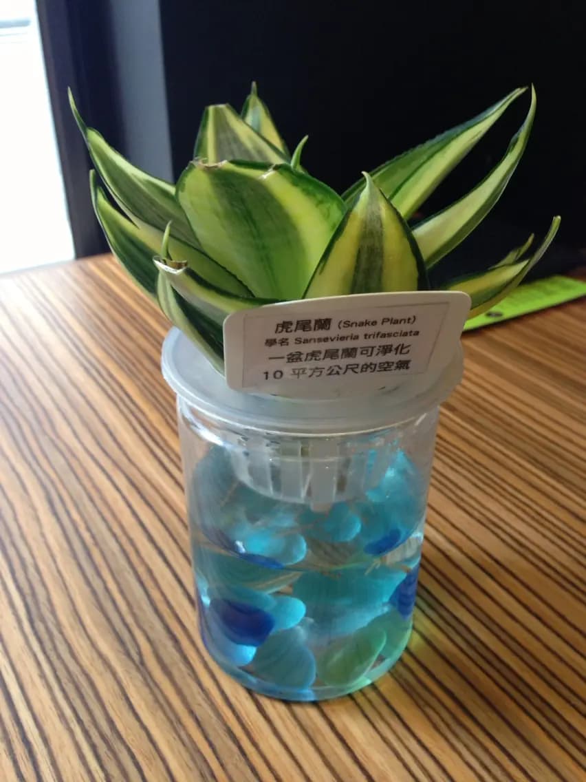 南記粉麵 photo 5