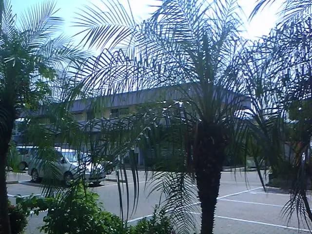 樂景麵飽茶餐廳 photo 2