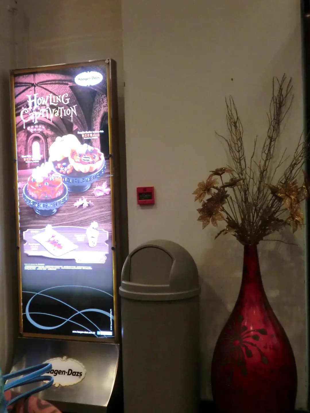 Häagen-Dazs photo 4