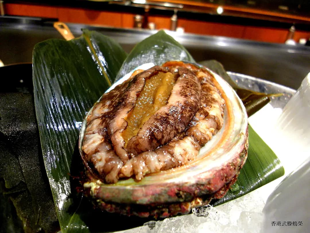 山下 photo 7