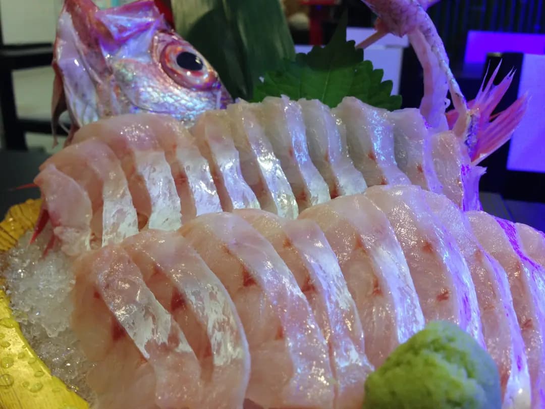 玄海日本料理 photo 3