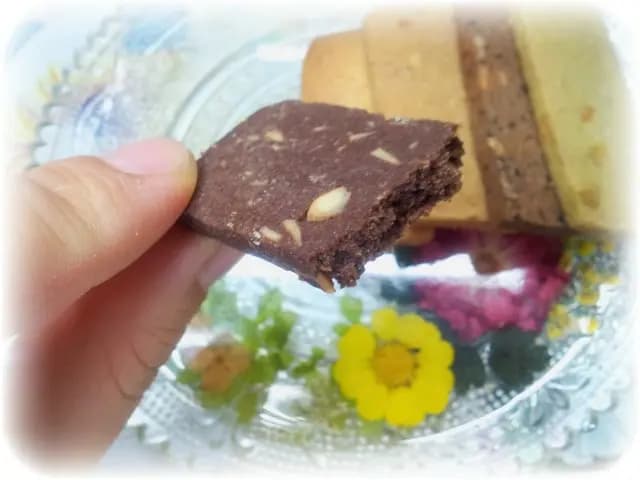 公主 photo 4