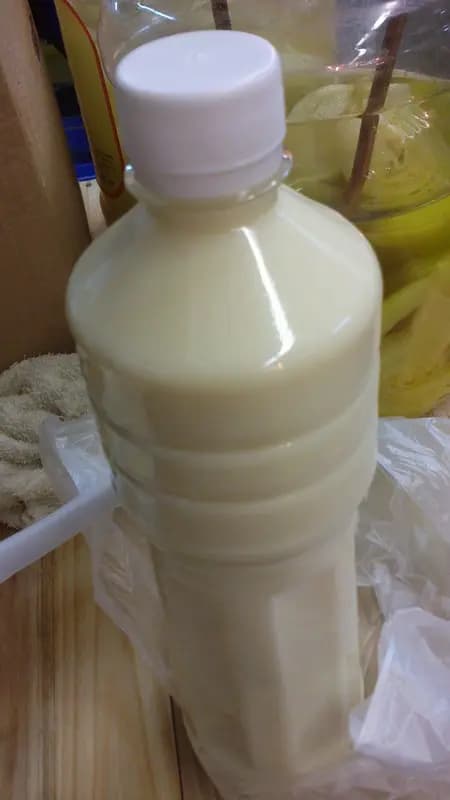 亞順芽菜豆腐 photo 5