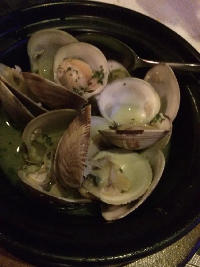 Circle Oyster photo 7