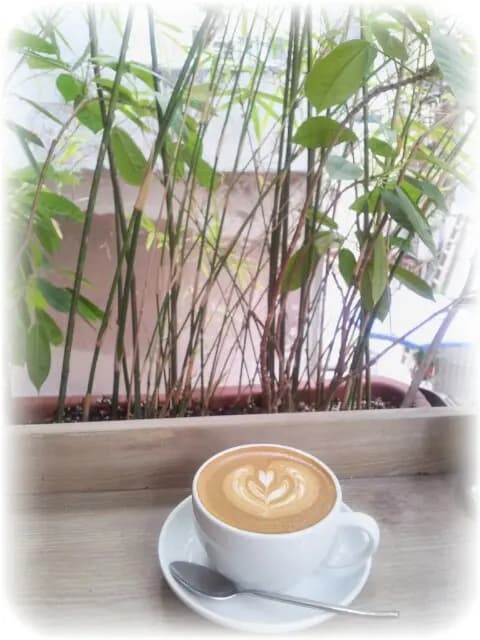 Amical Coffee photo 2