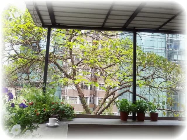 Amical Coffee photo 6