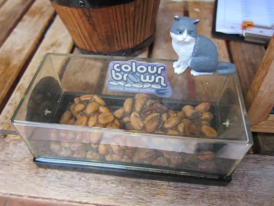 Colour Brown photo 4