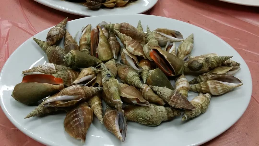 水中天休閒釣魚會 photo 3