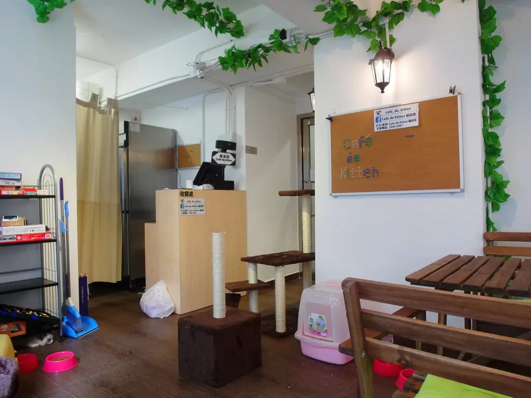 貓店街 photo 1
